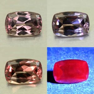 CCDragonGarnet cush 7.3x5.0mm 1.04cts N cc560 comboAll