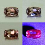 CCDragonGarnet cush 7.8x5.0mm 1.23cts N cc453 comboAll