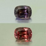 CCDragonGarnet cush 8.7x6.5mm 2.81cts N cc454 combo