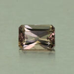 CCDragonGarnet eme cut 5.5x3.7mm 0.54cts N cc455 day