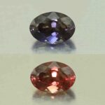 CCDragonGarnet oval 10.3x7.2mm 3.28cts N cc178 combo