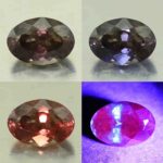 CCDragonGarnet oval 10.3x7.2mm 3.28cts N cc178 combo All scaled 1