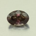 CCDragonGarnet oval 10.3x7.2mm 3.28cts N cc178 day