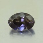CCDragonGarnet oval 10.3x7.2mm 3.28cts N cc178 primary