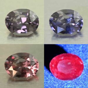 CCDragonGarnet oval 5.5x4.4mm 0.50cts N cc561 comboAll