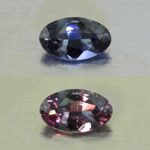 CCDragonGarnet oval 7.0x4.2mm 0.67cts N cc580 combo SOLD