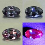 CCDragonGarnet oval 7.0x4.2mm 0.67cts N cc580 combo All SOLD