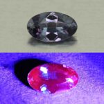 CCDragonGarnet oval 7.0x4.2mm 0.67cts N cc580 combo UV SOLD