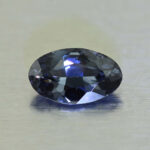 CCDragonGarnet oval 7.0x4.2mm 0.67cts N cc580 primary SOLD
