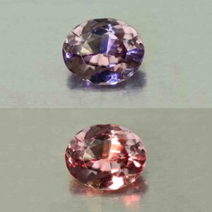 CCDragonGarnet oval 7.1x5.8mm 1.22cts N cc482 combo