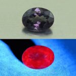 CCDragonGarnet oval 8.3x6.2mm 1.71cts N cc419 combo UV