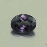 CCDragonGarnet oval 8.3x6.2mm 1.71cts N cc419 day