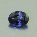 CCDragonGarnet oval 8.3x6.2mm 1.71cts N cc419 primary