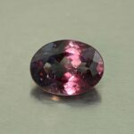 CCDragonGarnet oval 8.3x6.2mm 1.71cts N cc419 secondary