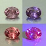 CCDragonGarnet oval 8.3x6.5mm 1.96cts N cc438 comboALL
