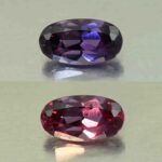 CCDragonGarnet oval 9.1x5.0mm 1.67cts N cc582 combo