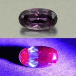 CCDragonGarnet oval 9.1x5.0mm 1.67cts N cc582 combo UV