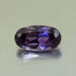 CCDragonGarnet oval 9.1x5.0mm 1.67cts N cc582 primary
