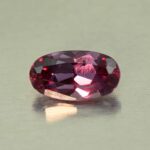 CCDragonGarnet oval 9.1x5.0mm 1.67cts N cc582 secondary