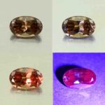 CCDragonGarnet oval 9.4x6.0mm 2.17cts N cc103 comboALL scaled 1