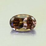 CCDragonGarnet oval 9.4x6.0mm 2.17cts N cc103 primary