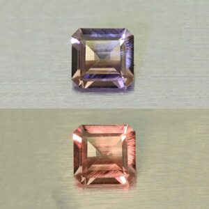 CCDragonGarnet sq eme cut 5.2x5.0mm 0.66cts N cc549 combo
