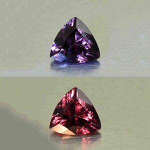 CCDragonGarnet trill 7.5x7.2mm 1.44cts N cc605 combo
