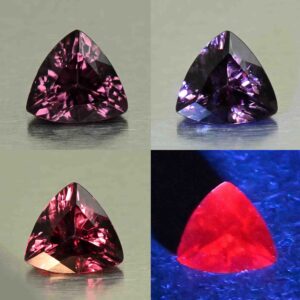 CCDragonGarnet trill 7.5x7.2mm 1.44cts N cc605 comboAll