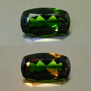 ChromeTourmaline Usambara cush 10.3x6.0mm 1.58cts ct227 combo 1
