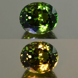 ChromeTourmaline Usambara oval 12.0x10.1mm 6.65cts combo ct131