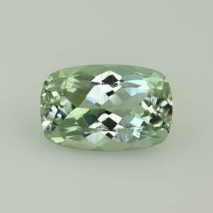 GreenBeryl cush 18.6x12.3mm 12.24cts N gb110 a