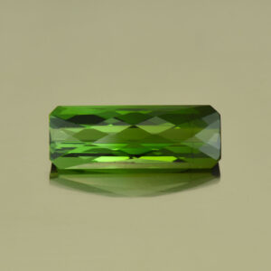 GreenTourmaline ch eme cut 17.4x6.5mm 5.30cts N tm811 web