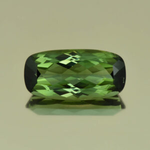 GreenTourmaline cush 20.0x10.1mm 11.94cts H tm164