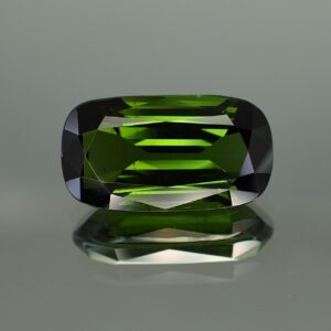 GreenTourmaline cush 21.9x12.1mm 18.84cts N tm1028