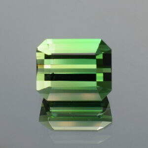 GreenTourmaline eme cut 10.9x8.9mm 5.93cts N tm234 crop