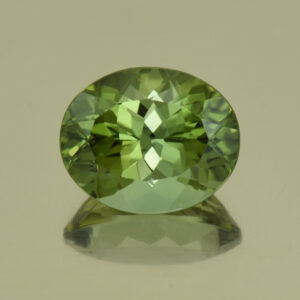 GreenTourmaline oval 11.1x9.1mm 3.93cts N tm281
