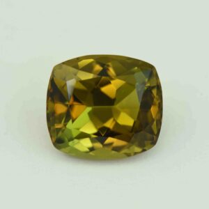 GreenYellowTourmaline cush 12.0x10.8mm 6.40cts N tm890 scaled 1