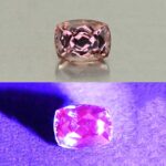 MalayaDragonGarnet cush 6.6x5.0mm 1.28cts N ma387 combo UV