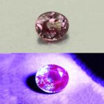 MalayaDragonGarnet oval 7.8x6.6mm 2.06cts N ma392 combo UV
