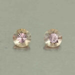 MalayaDragonGarnet round pair 4.0mm 0.68cts N ma377 day