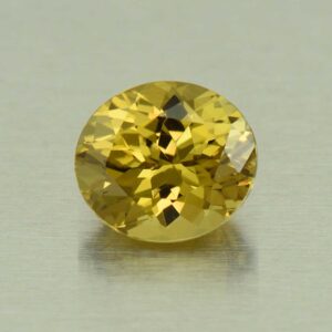 MaliGarnet oval 8.8x7.8mm 2.71cts N ml138