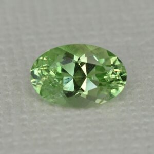 MintGrossular_oval_9.2x6.0mm_1.77cts_mg163.jpg