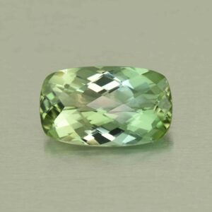 MintTourmaline ch cush 17.7x10.8mm 9.53cts N tm1633 scaled 1