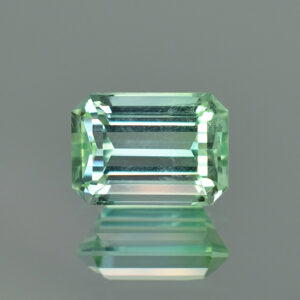 MintTourmaline eme cut 11.0x7.9mm 4.67cts H tm1294 crop SOLD