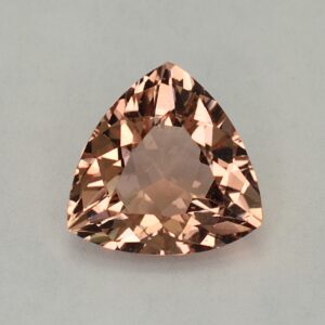 Morganite_trillion_12.6x12.2mm_4.94cts_H_me129.jpg