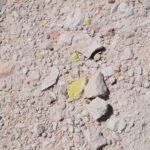 Sulphur Mine San Felipe MX 2017-06 1