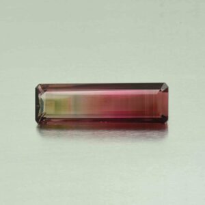 TriColorTourmaline eme cut 41.9x13.0mm 54.03cts N tm1041 a scaled 1