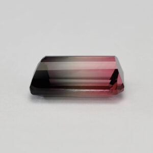 TriColorTourmaline eme dome 13.9 12.4x7.5mm 5.83cts N tm1243 g